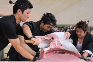Maguro