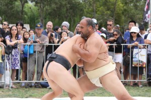 Sumo